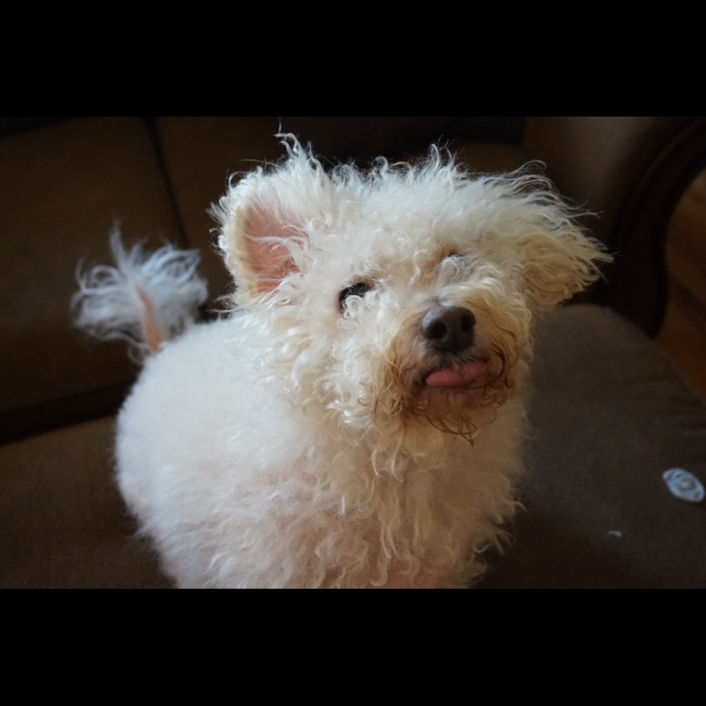 Meet your Posher, Christiana